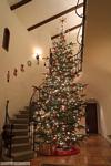 33905_christmas_tree.jpg