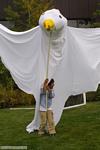 41589_dove.jpg